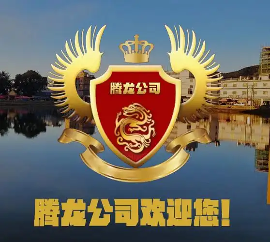 电竞赛车热度